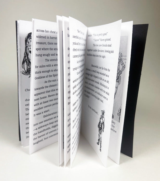 Raven Valley - Book